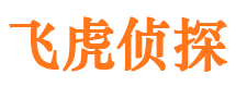 卢氏市侦探